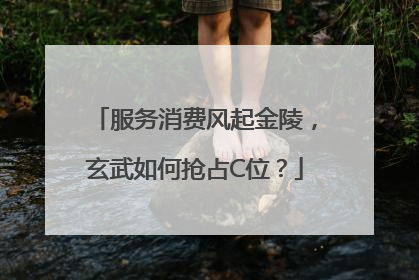 服务消费风起金陵，玄武如何抢占C位？