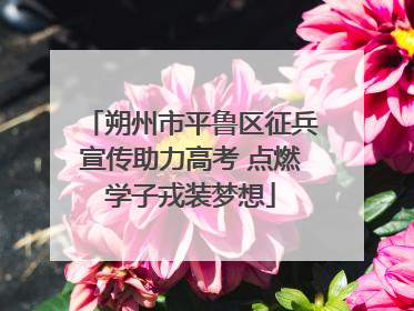 朔州市平鲁区征兵宣传助力高考 点燃学子戎装梦想