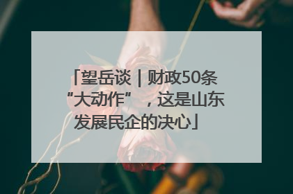 望岳谈｜财政50条“大动作”，这是山东发展民企的决心