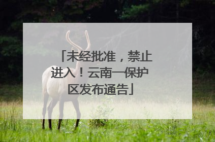 未经批准，禁止进入！云南一保护区发布通告