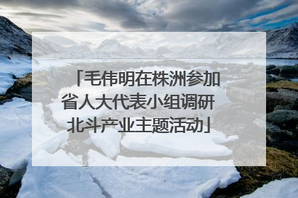 毛伟明在株洲参加省人大代表小组调研北斗产业主题活动