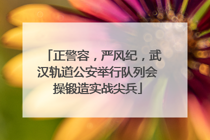正警容，严风纪，武汉轨道公安举行队列会操锻造实战尖兵