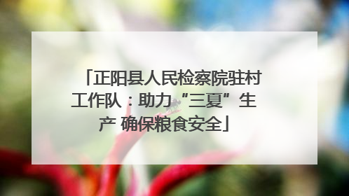 正阳县人民检察院驻村工作队：助力“三夏”生产 确保粮食安全