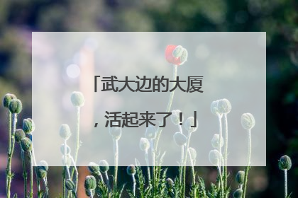 武大边的大厦，活起来了！