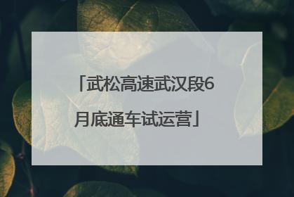 武松高速武汉段6月底通车试运营