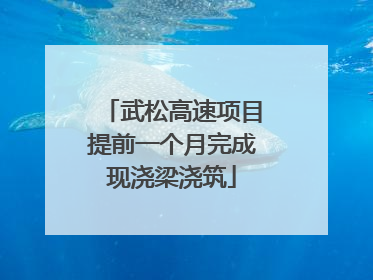 武松高速项目提前一个月完成现浇梁浇筑