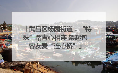 武昌区杨园街道：“特殊”踏青心相连 架起包容友爱“连心桥”