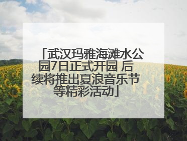 武汉玛雅海滩水公园7日正式开园 后续将推出夏浪音乐节等精彩活动