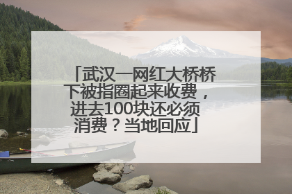 武汉一网红大桥桥下被指圈起来收费，进去100块还必须消费？当地回应
