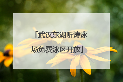 武汉东湖听涛泳场免费泳区开放