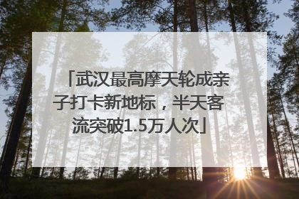 武汉最高摩天轮成亲子打卡新地标，半天客流突破1.5万人次