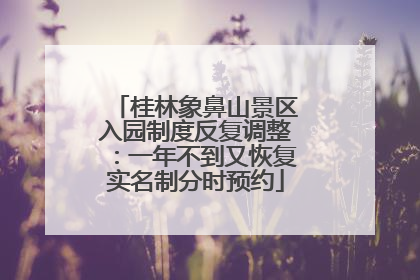 桂林象鼻山景区入园制度反复调整：一年不到又恢复实名制分时预约