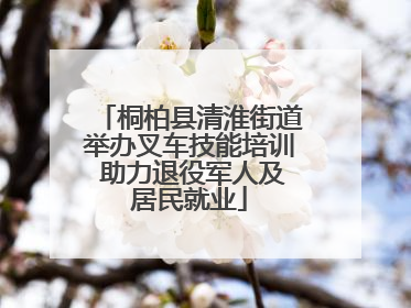 桐柏县清淮街道举办叉车技能培训 助力退役军人及居民就业
