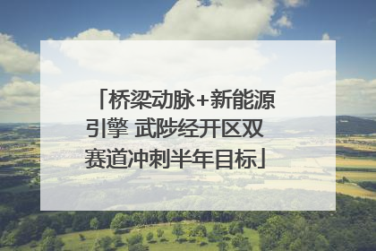 桥梁动脉+新能源引擎 武陟经开区双赛道冲刺半年目标