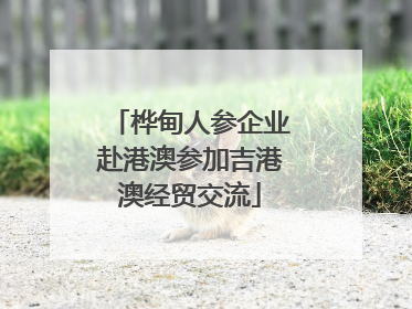 桦甸人参企业赴港澳参加吉港澳经贸交流