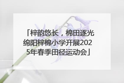 梓韵悠长，棉田逐光 绵阳梓棉小学开展2025年春季田径运动会
