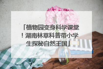 植物园变身科学课堂！湖南林草科普带小学生探秘自然王国