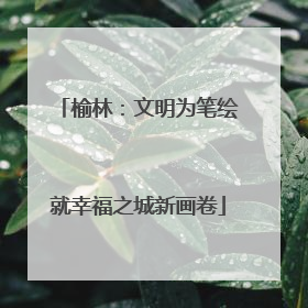 榆林：文明为笔绘就幸福之城新画卷