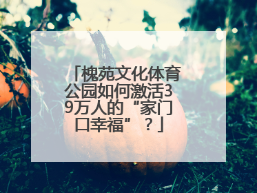 槐苑文化体育公园如何激活39万人的“家门口幸福”？