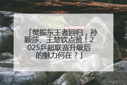 樊振东王者回归，孙颖莎、王楚钦点赞！2025乒超联赛升级后的魅力何在？