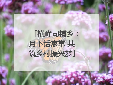 横峰司铺乡：月下话家常 共筑乡村振兴梦