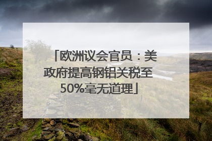 欧洲议会官员：美政府提高钢铝关税至50%毫无道理