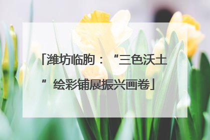 潍坊临朐：“三色沃土”绘彩铺展振兴画卷