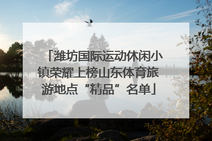 潍坊国际运动休闲小镇荣耀上榜山东体育旅游地点“精品”名单