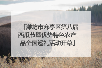 潍坊市寒亭区第八届西瓜节暨优势特色农产品全国巡礼活动开幕