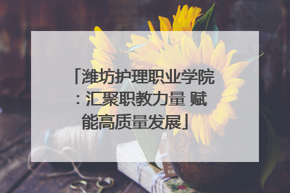 潍坊护理职业学院：汇聚职教力量 赋能高质量发展