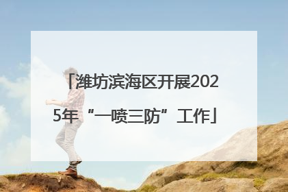 潍坊滨海区开展2025年“一喷三防”工作