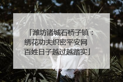 潍坊诸城石桥子镇：绣花功夫织密平安网 百姓日子越过越踏实