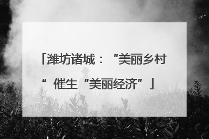 潍坊诸城：“美丽乡村”催生“美丽经济”