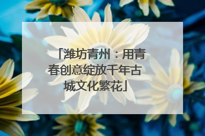 潍坊青州：用青春创意绽放千年古城文化繁花