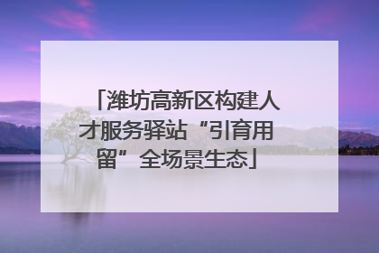 潍坊高新区构建人才服务驿站“引育用留”全场景生态