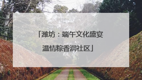 潍坊：端午文化盛宴 温情粽香润社区