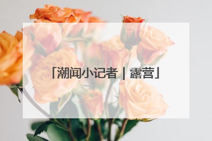 潮闻小记者｜露营