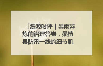 澧源时评｜暴雨淬炼的治理答卷，桑植县防汛一线的细节肌理与体系力量
