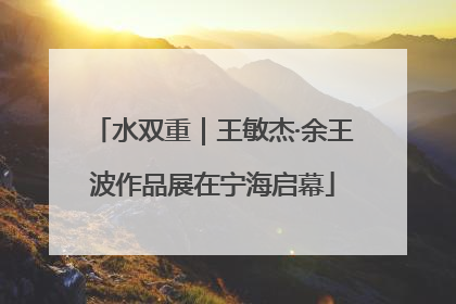 水双重｜王敏杰·余王波作品展在宁海启幕