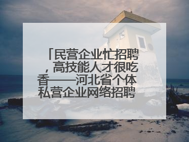 民营企业忙招聘，高技能人才很吃香——河北省个体私营企业网络招聘大会扫描