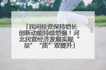 民间投资保持增长 创新动能持续增强！河北民营经济发展实现“量”“质”双提升