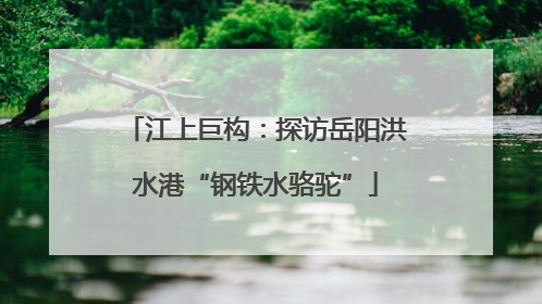 江上巨构：探访岳阳洪水港“钢铁水骆驼”