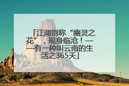江湖别称“幽灵之花”，现身临沧！——有一种叫云南的生活之365天