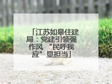 江苏如皋住建局：党建引领强作风 “民呼我应”显担当