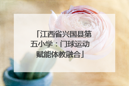 江西省兴国县第五小学：门球运动赋能体教融合
