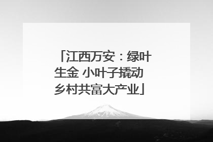 江西万安：绿叶生金 小叶子撬动乡村共富大产业