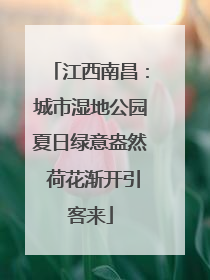 江西南昌：城市湿地公园夏日绿意盎然 荷花渐开引客来