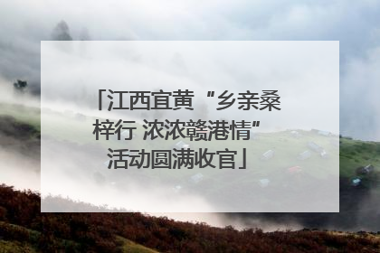 江西宜黄“乡亲桑梓行 浓浓赣港情”活动圆满收官