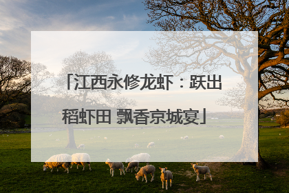 江西永修龙虾：跃出稻虾田 飘香京城宴