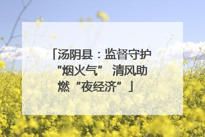 汤阴县：监督守护“烟火气” 清风助燃“夜经济”